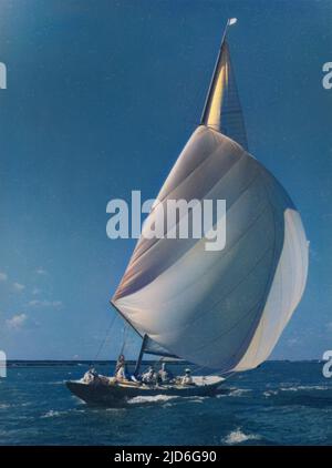 Yacht racing at Burnham-on- Crouch, Essex, England. With spinnaker set, an International 6 metre class boat, the 'Blue Cat'. Colourised version of : 10171192       Date: 1950s Stock Photo