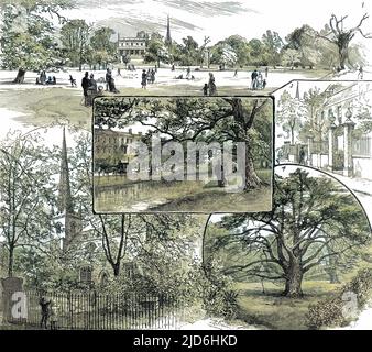 A series of scenes of Clissold Park and the surrounding area, 1885.   The images show (clockwise from top): Horse-Shoe Field; Church Street; Old Yew Tree; the Old Church. The centre image shows Paradise Row and the New River. Colourised version of: 10220890       Date: 1885 Stock Photo