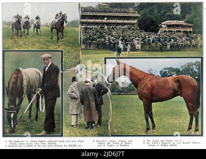 The British thoroughbred racehorse, Bayardo, wins the Eclipse Stakes at the Sandown Park meeting. Colourised version of: 10439006       Date: 1909 Stock Photo