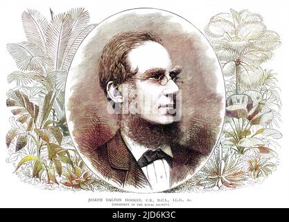 SIR JOSEPH DALTON HOOKER Botanist and traveller, President of the Royal Society. Colourised version of: 10161160       Date: 1817 - 1911 Stock Photo