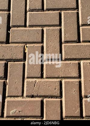 geometric pattern of a floor covering Stock Photo