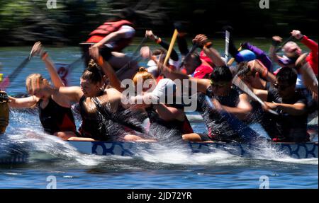 Toronto, Canada. 18th June, 2022. Contestants compete during the 2022 Toronto International Dragon Boat Race Festival in Toronto, Canada, on June 18, 2022. The event is held here from Saturday to Sunday with the participation of dozens of teams. Credit: Zou Zheng/Xinhua/Alamy Live News Stock Photo