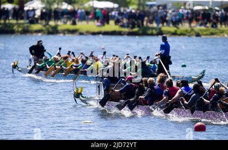 Toronto, Canada. 18th June, 2022. Contestants compete during the 2022 Toronto International Dragon Boat Race Festival in Toronto, Canada, on June 18, 2022. The event is held here from Saturday to Sunday with the participation of dozens of teams. Credit: Zou Zheng/Xinhua/Alamy Live News Stock Photo