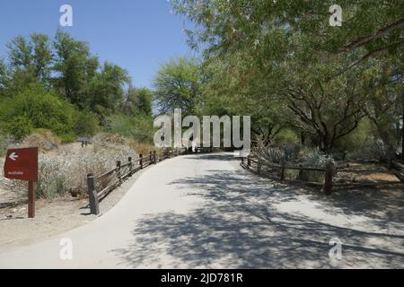 Palm Desert, California, USA 11th June 2022 A general view of atmosphere of The Living Desert Zoo and Gardens on June 11, 2022 in Palm Desert, California, USA. Photo by Barry King/Alamy Stock Photo Stock Photo