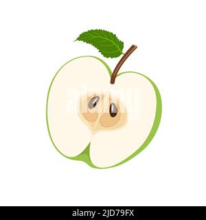 Green apple cut in half, flat style vector illustration isolated on white background Stock Vector