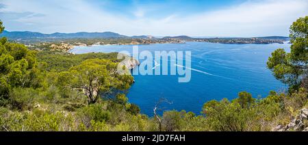 Panorama view over the bay of Santa Ponsa with pine trees in foreground and the villages Cala Fornells, Peguera, Costa de la Calma and Santa Ponsa. Stock Photo