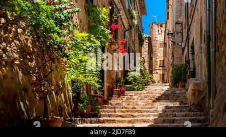 Narrow lane called Carrer Metge Mayol with rising staircase in the center of rural village Fornalutx, lined with potted plants and flowers. Stock Photo