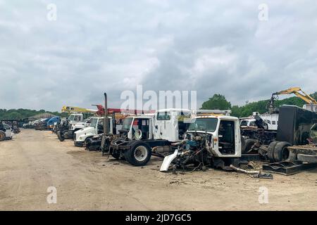 A lot of big abandoned broken trucks in a junkyard, wrecked trucks with damaged parts are in a car dump, automobile recycling after accidents Stock Photo