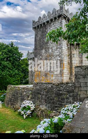 Medieval castle in the north of Spain with wall and period houses. Galicia. Stock Photo