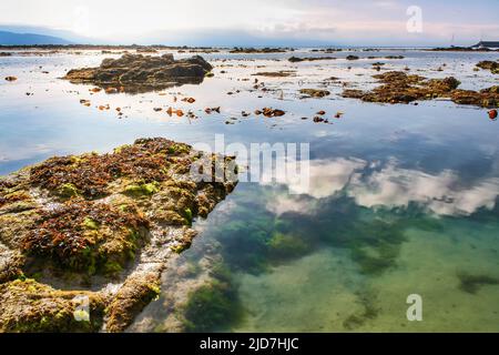 Reflections of clouds in the calm water of the sea and rocks with algae on the surface. Stock Photo