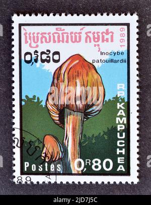Cancelled postage stamp printed by Cambodia, that shows Inocybe patouillardii - the deadly fibre cap, brick-red tear mushroom or red-staining Inocybe, Stock Photo