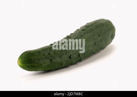 Fresh green cucumber isolated on bright background. Close up view. Stock Photo