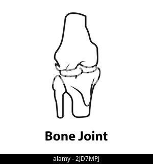 knee bone joint vector. on white background Stock Vector