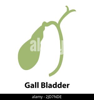 human internal organ gall bladder. vector. on white background Stock Vector