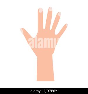 open hand. vector illustration. on white background Stock Vector
