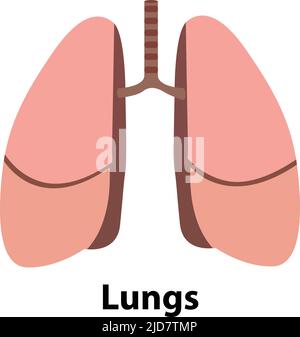 Lungs icon, flat style. Internal organs of the human design element, logo. Anatomy, medicine concept. Healthcare. Isolated on white background. Vector Stock Vector