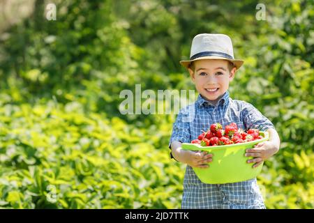 smiling child boy holding bowl full of strawberries on plantation Stock Photo