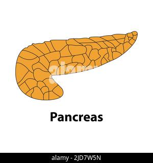Cute Human Internal organs pattern seamless. Anatomy background cartoon ...