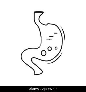 stomach vector out line. on white background Stock Vector