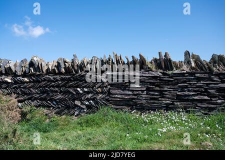Cornish slate wall with herringbone pattern (known as 'curzyway') and horizontal slate pattern, for strength. South West Coast path, near Tintagel. Stock Photo