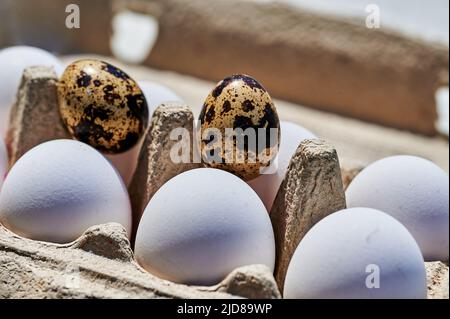 Box of fresh quail eggs with speckled shell with chicken eggs in the foreground. Stock Photo