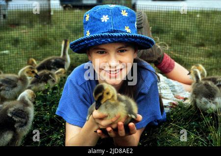 PAQUIN,GEESE, FLY AWAY HOME, 1996 Stock Photo