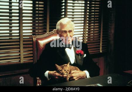 BRIDGES,CAT, JANE AUSTEN'S MAFIA!, 1998 Stock Photo