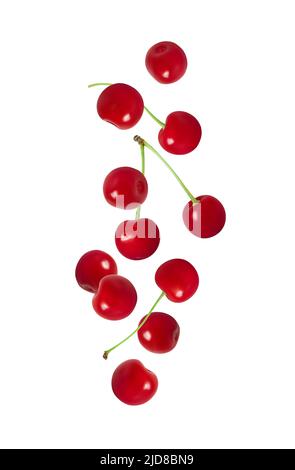 Falling cherry isolated on a white background. Flying red ripe berries. Cherries flying down. Design for packaging. Stock Photo