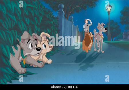 SCAMP,ANGEL,JIM,LADY,TRAMP, LADY AND THE TRAMP II: SCAMP'S ADVENTURE, 2001, Stock Photo