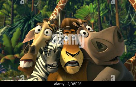 GIRAFFE,ZEBRA,LION,HIPPO, MADAGASCAR, 2005, Stock Photo