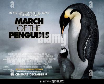 ANTARCTIC EMPEROR PENGUINS POSTER, MARCH OF THE PENGUINS, 2005, Stock Photo