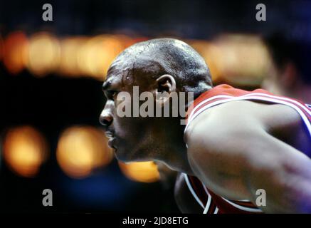 michael jordan to the max 2000