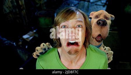 LILLARD,SCOOBY, SCOOBY-DOO 2: MONSTERS UNLEASHED, 2004, Stock Photo