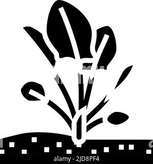 spinach plant glyph icon vector illustration Stock Vector Image & Art ...