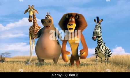 MELMAN,HIPPO,LION,ZEBRA, MADAGASCAR: ESCAPE 2 AFRICA, 2008, Stock Photo