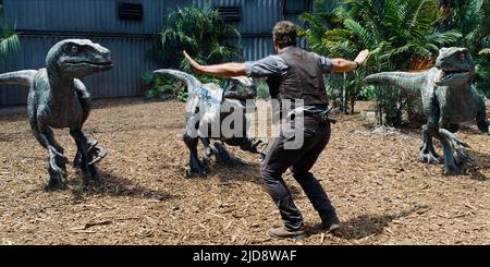 CHRIS PRATT, JURASSIC WORLD, 2015, Stock Photo