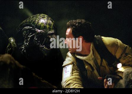 PREDATOR, AVP: ALIEN VS. PREDATOR, 2004 Stock Photo - Alamy