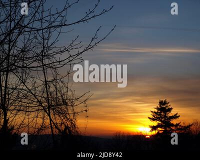 Always beautiful to capture, a Sunset, in a crisp golden color with a tree in foreground. Stock Photo