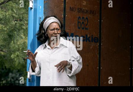 WHOOPI GOLDBERG, GOOD FENCES, 2003, Stock Photo