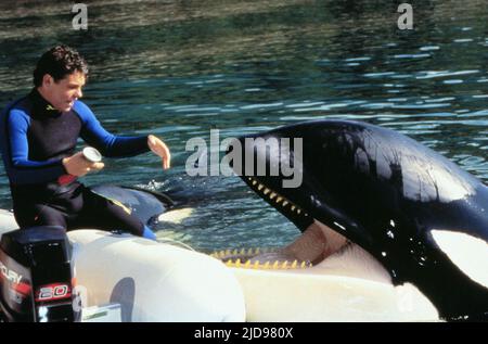 RICHTER,WHALE, FREE WILLY 3: THE RESCUE, 1997, Stock Photo