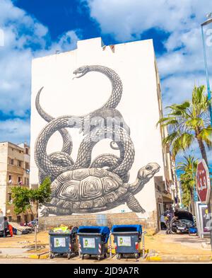 Turtle mural in Casablanca. An animal-inspired mural by Belgian artist Roa. Bourgogne district of Casablanca, Morocco Stock Photo
