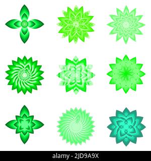 Collection of greenery botanical flower plant ornament decoration icon set pattern abstract background vector illustration Stock Vector