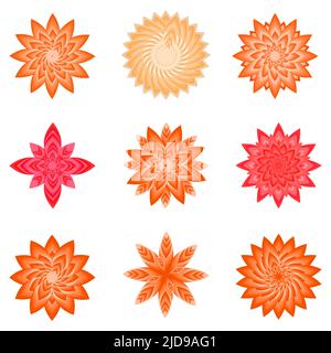 Collection of orange flower botanical petal plant icon element decoration abstract background isolated vintage pattern vector illustration Stock Vector