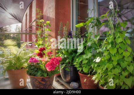 GARDENING CONCEPT: The Floral Balcony Stock Photo
