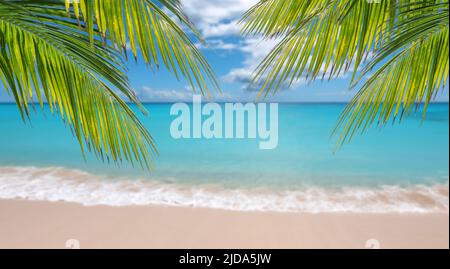 Palm branches in front of blurred sea. Tropical travel background. Stock Photo