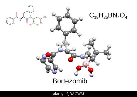 Chemical formula, skeletal formula, and 3D ball-and-stick model of anticancer drug bortezomib, white background Stock Photo