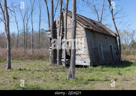 Abandoned homestead, a small log cabin, a building leaning to the side.