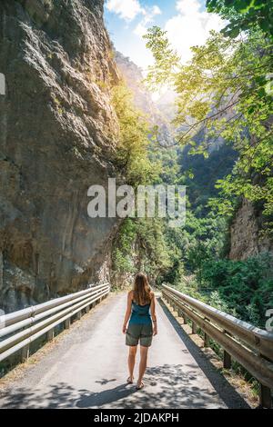 Attractive young woman in a beautiful summer landscape. Stock Photo