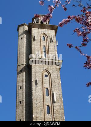 Peterson's Folly, also known as Sway Tower, Sway, New Forest, Hampshire, UK Stock Photo