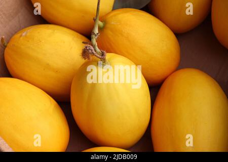 yellow colored tasty melon stock on shop for sell Stock Photo